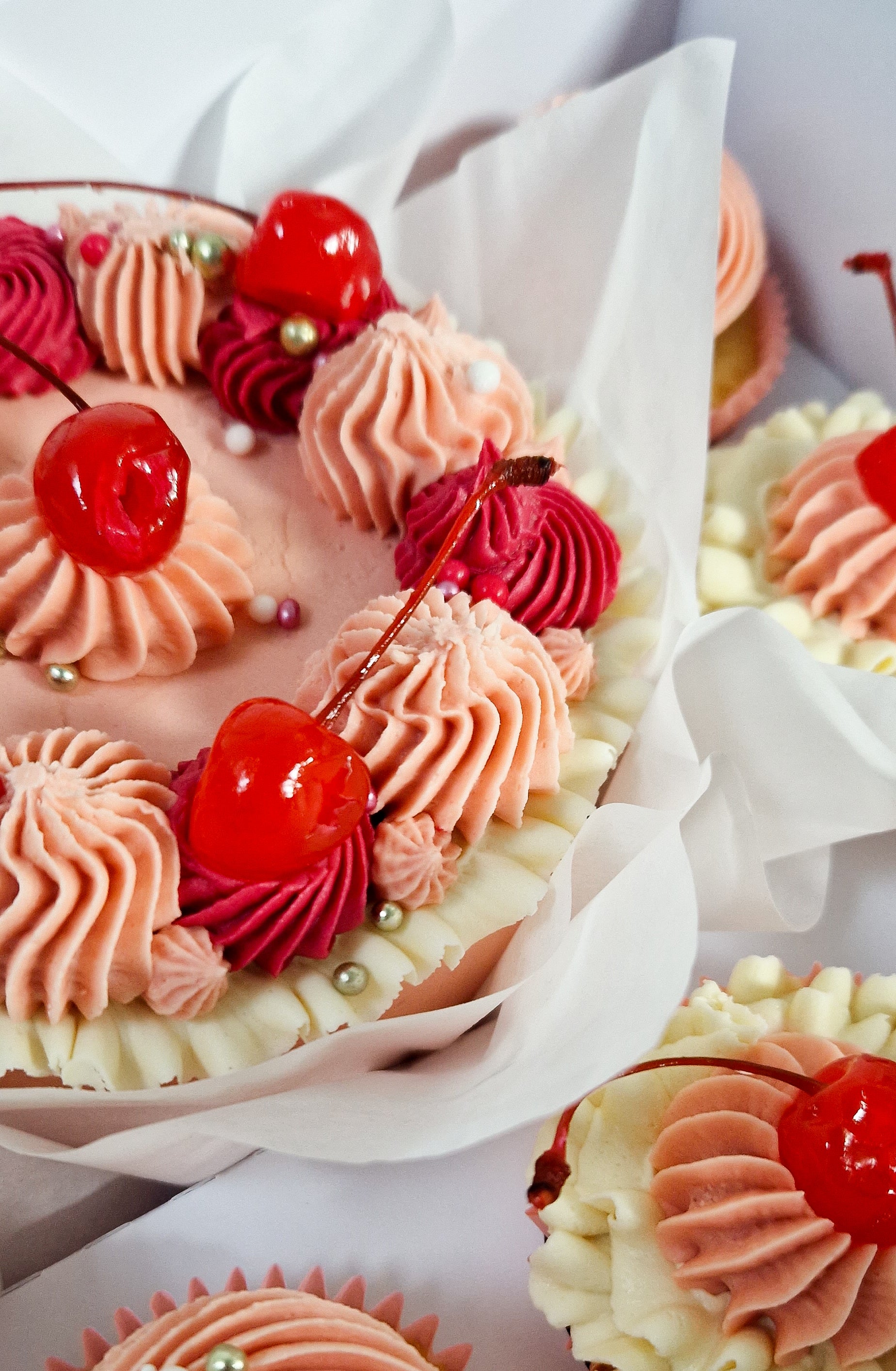 Bento cherry pie cake & cupcake box