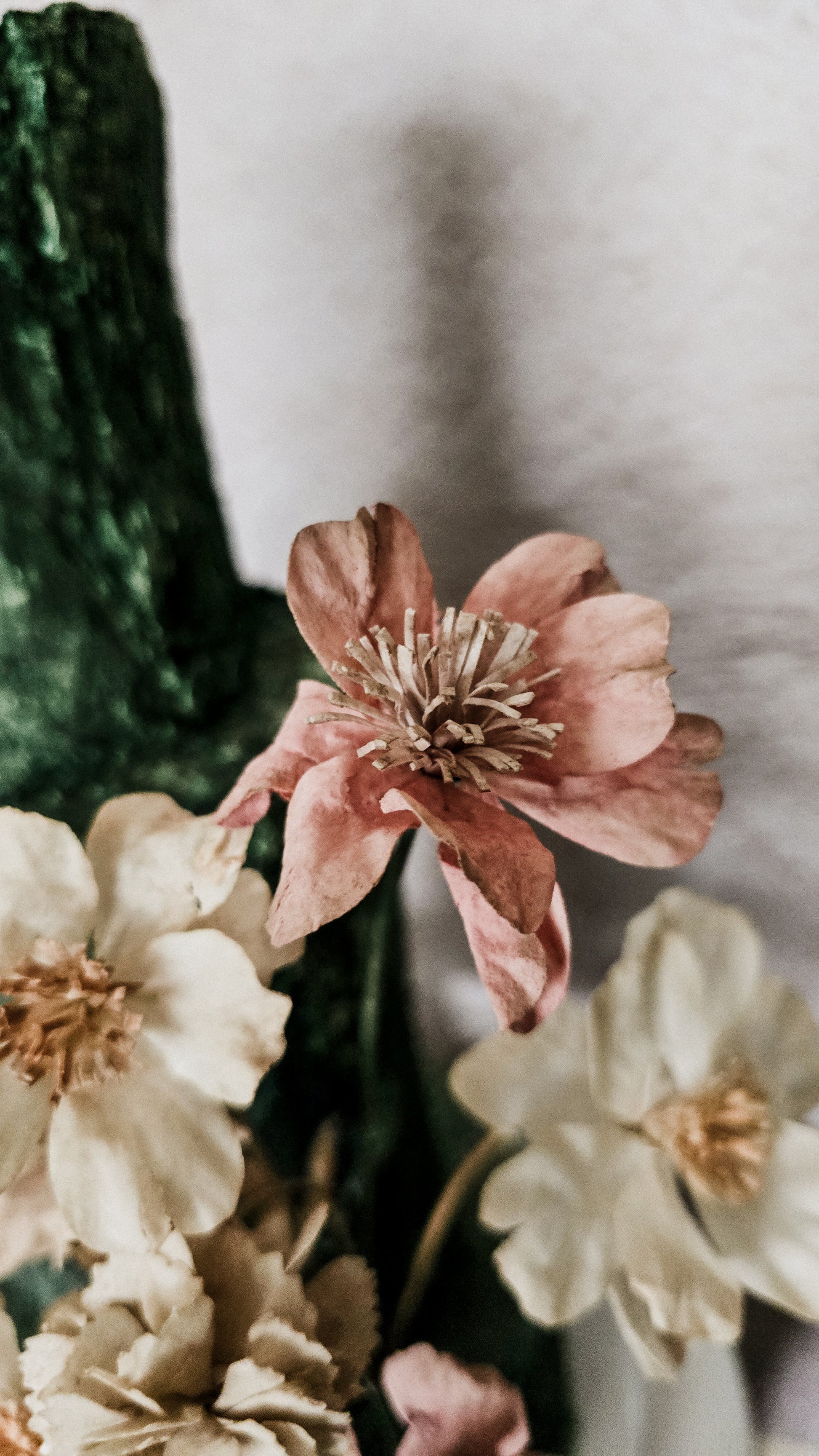 Pre-cut wafer paper petals for flowers