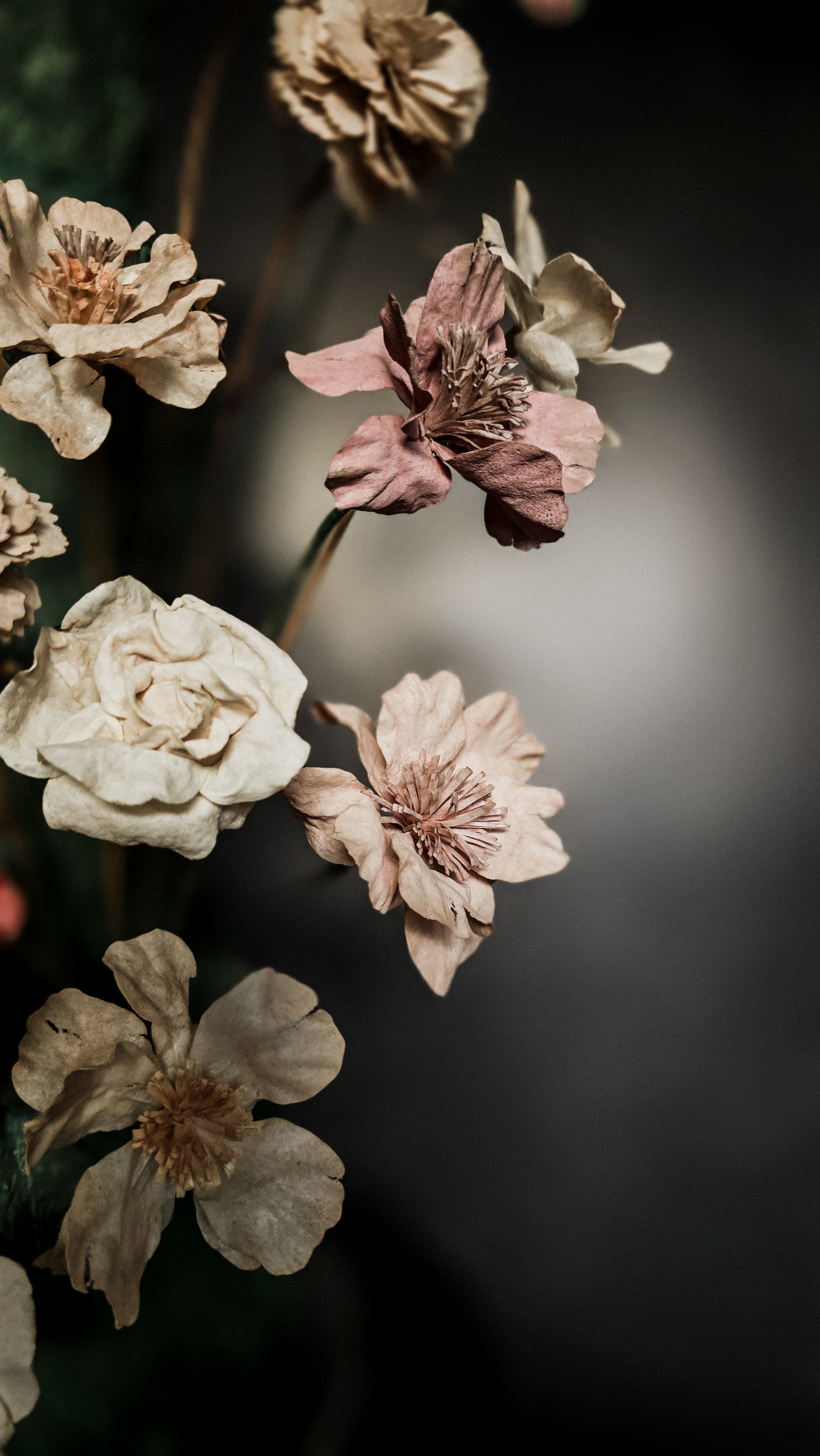 Pre-cut wafer paper petals for flowers