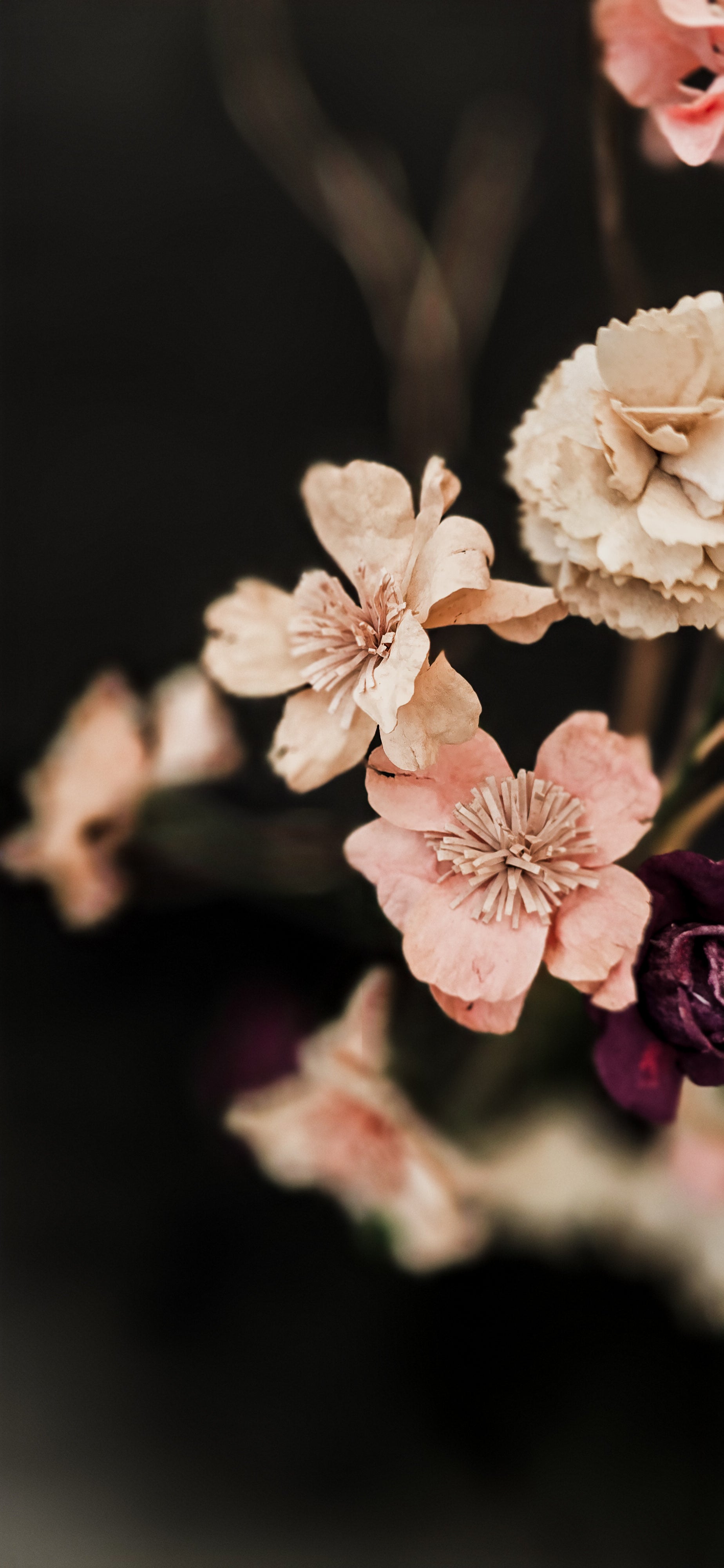 Pre-cut wafer paper petals for flowers