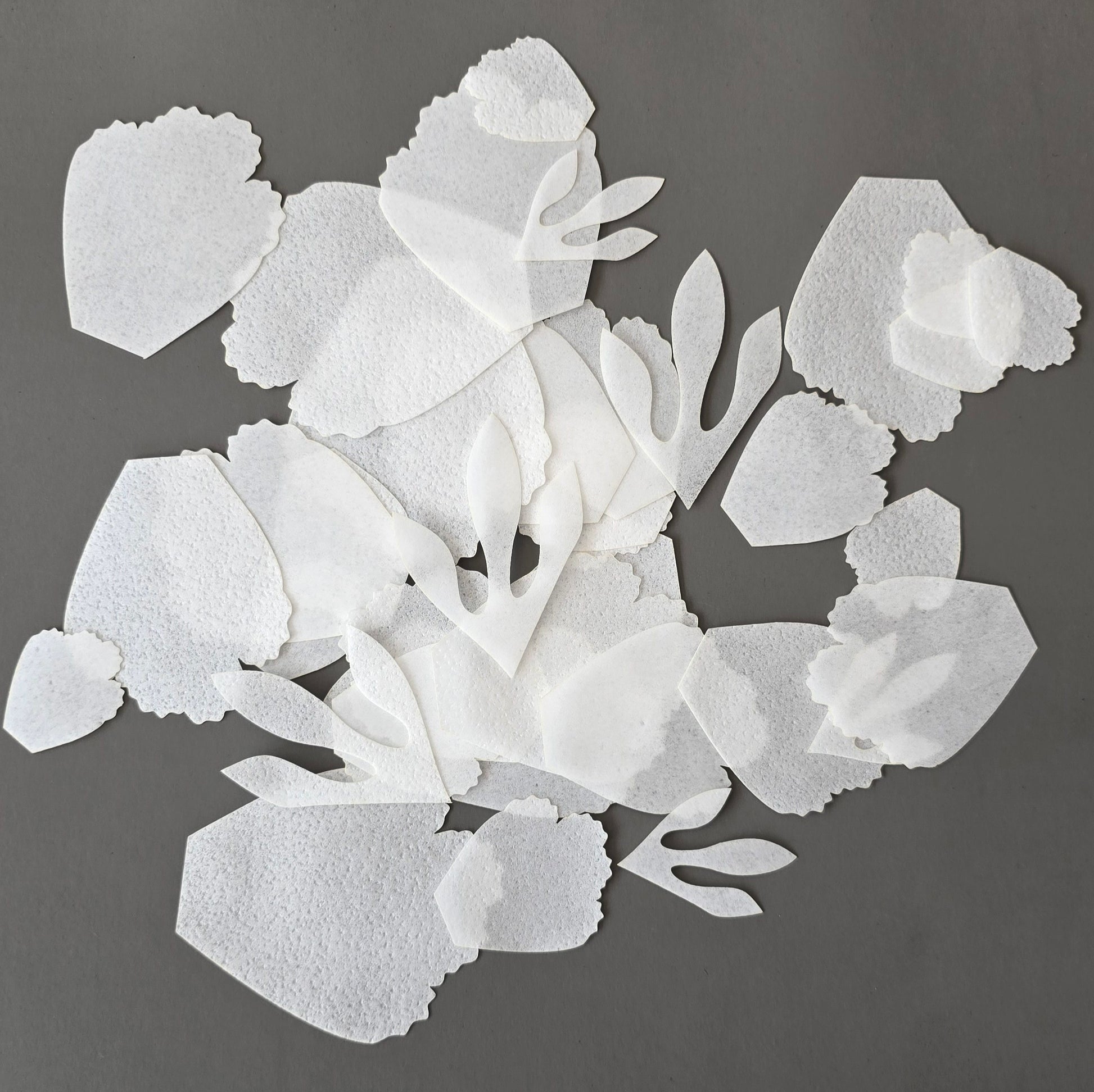 Pre-cut wafer paper petals for flowers