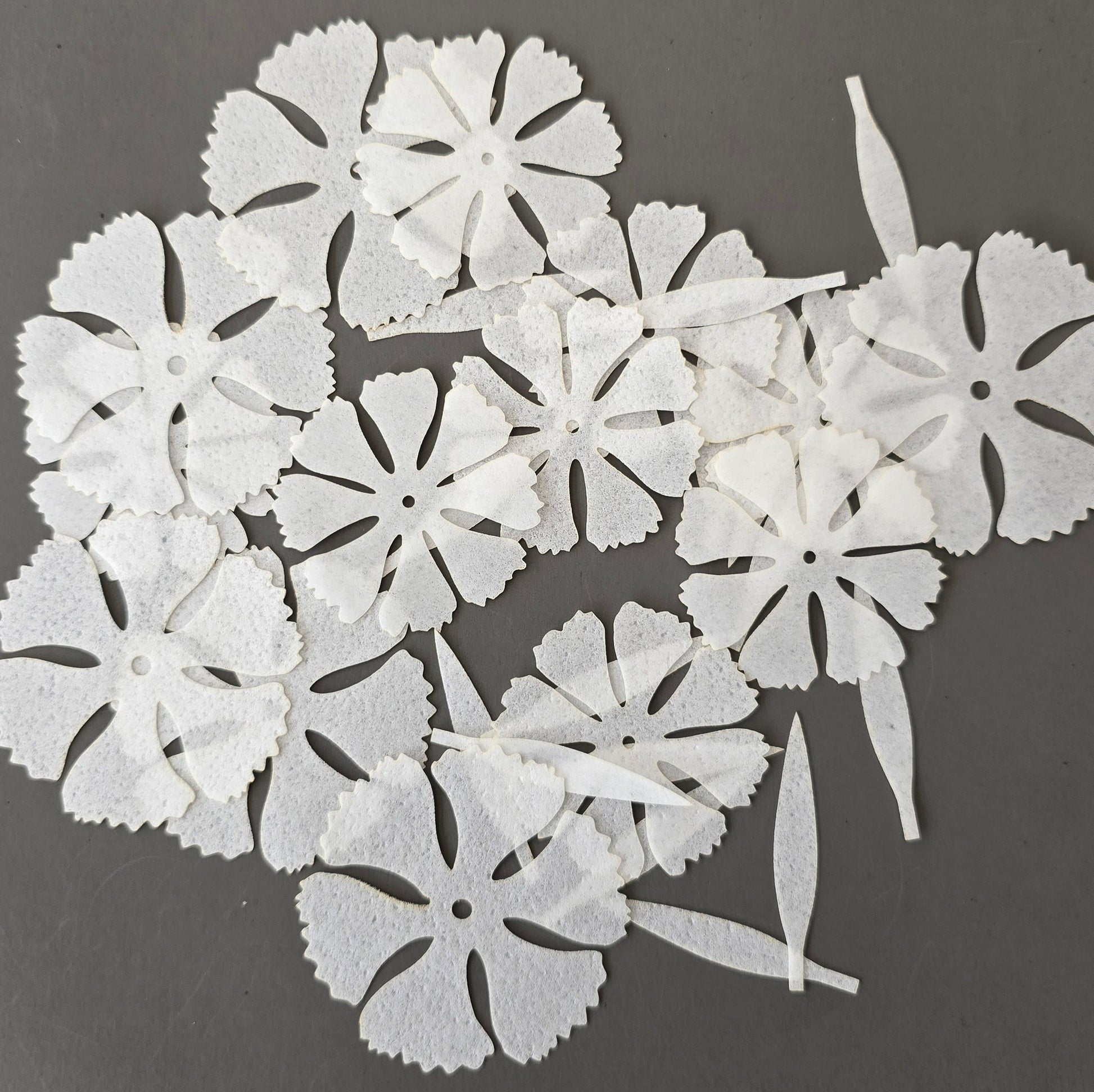 Pre-cut wafer paper petals for flowers