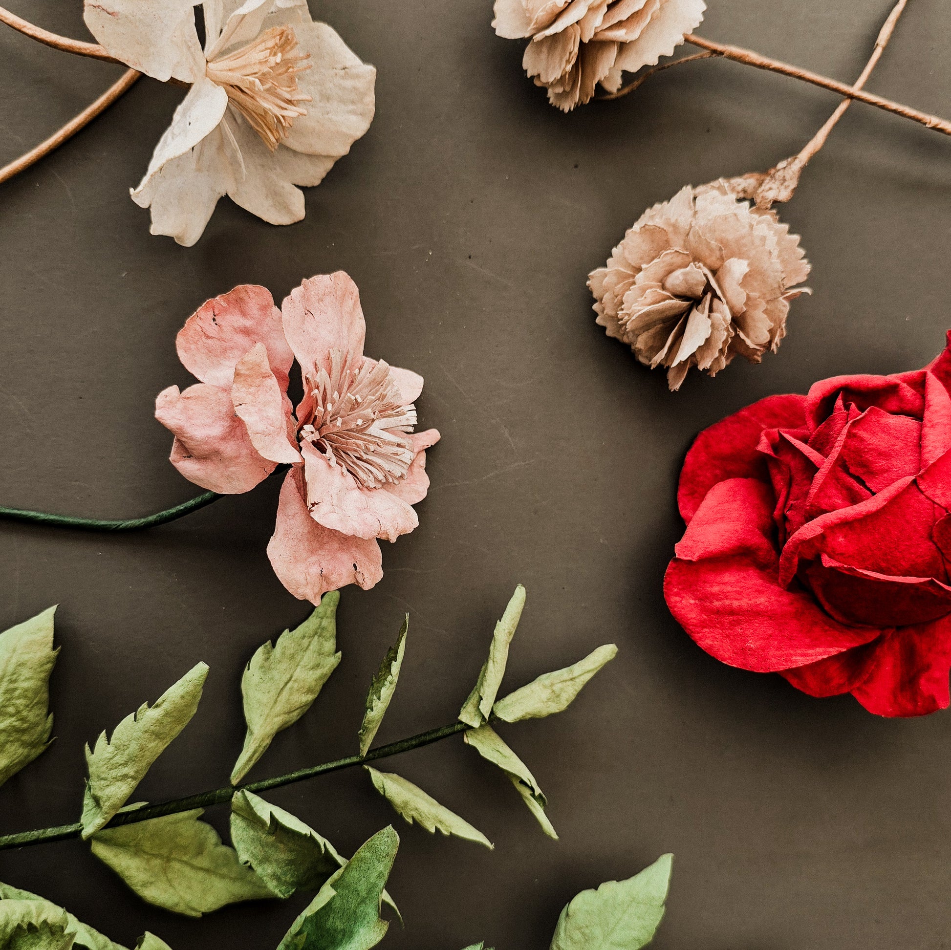 Pre-cut wafer paper petals for flowers