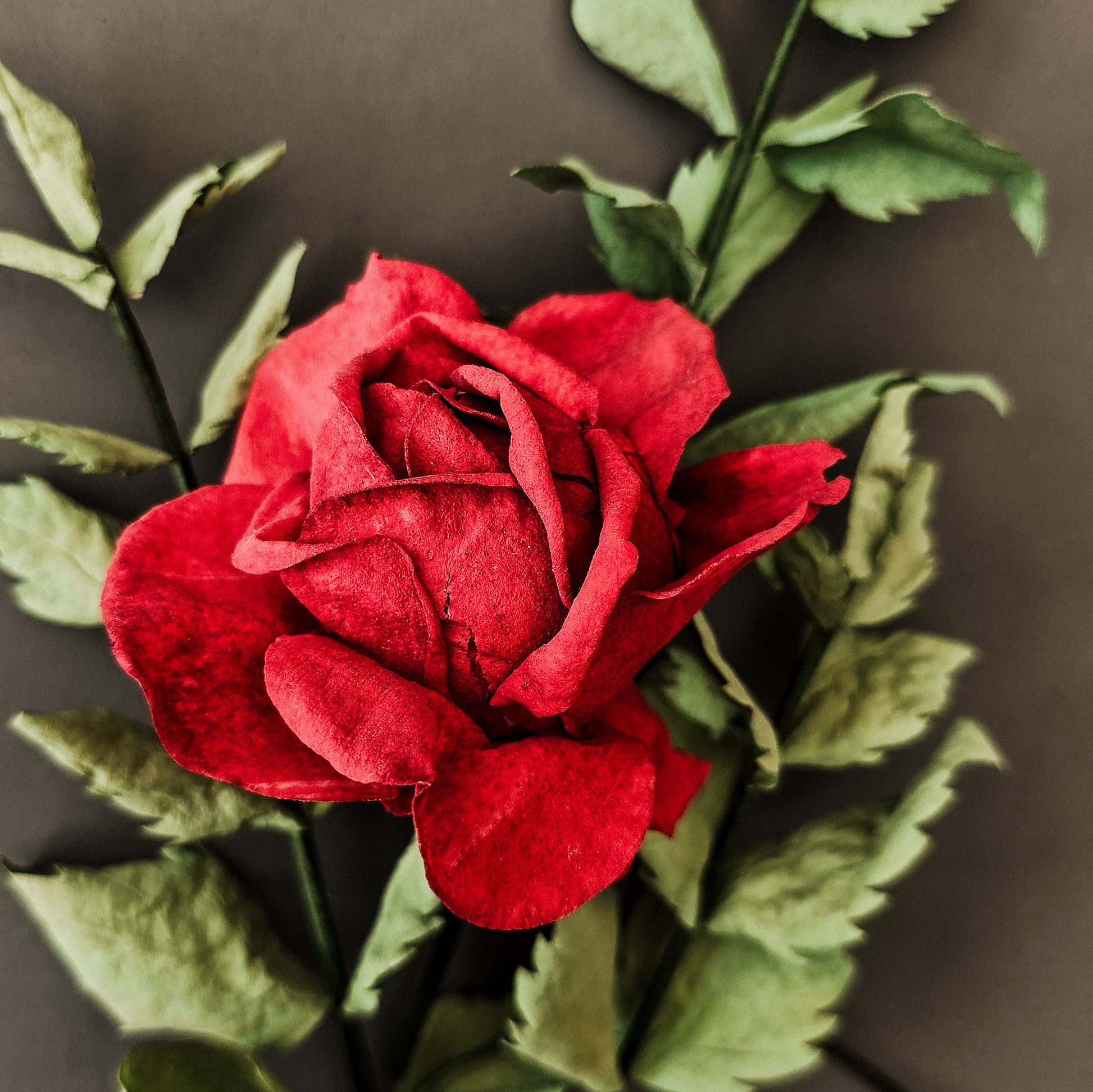 Pre-cut wafer paper petals for flowers