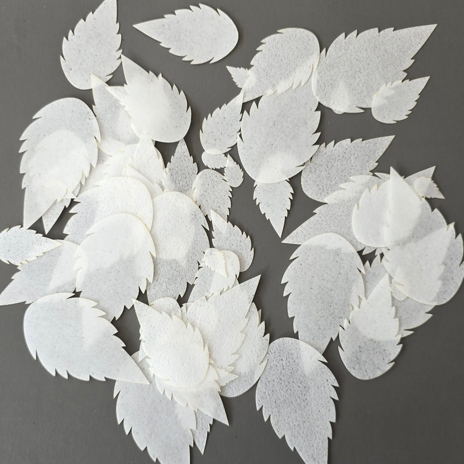 Pre-cut wafer paper leaves