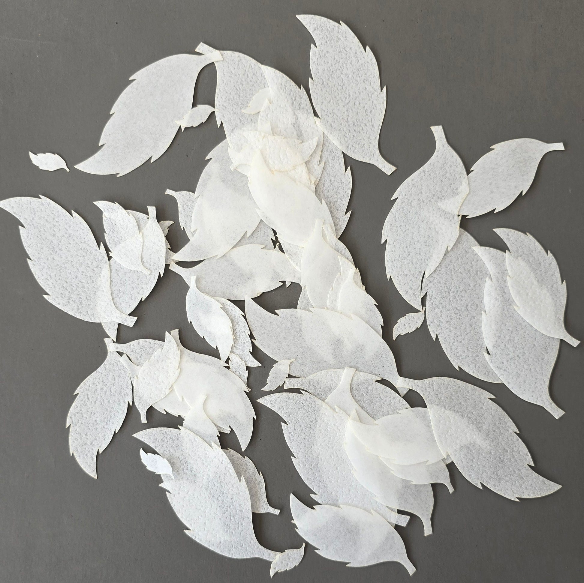 Pre-cut wafer paper leaves