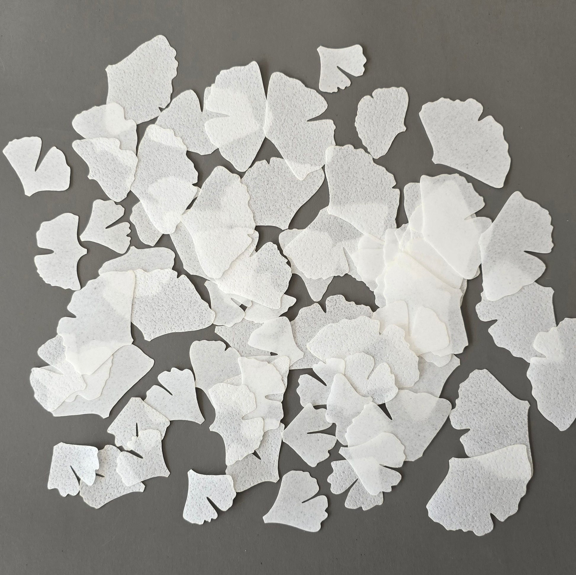 Pre-cut wafer paper leaves