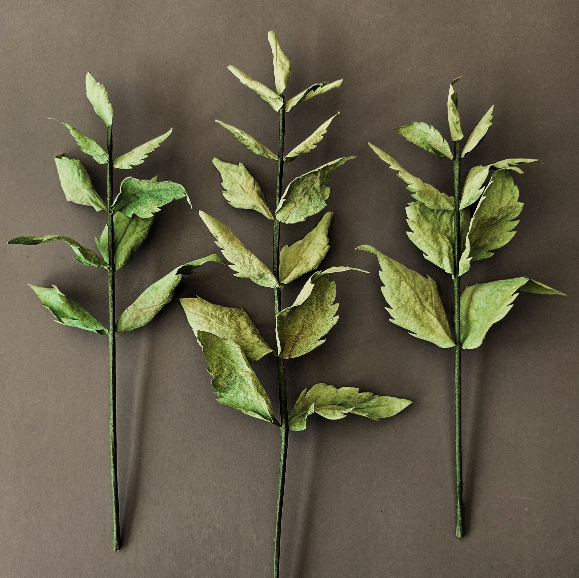 Pre-cut wafer paper leaves