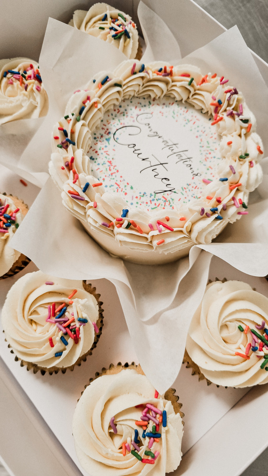 Bento rainbow cake & cupcake box